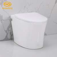 Advanced technology bathroom  tanksless  Automatic Electric Rear Wash Toilet