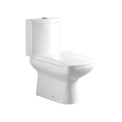 Good Price P Trap S Trap Washdown Flush Toilet