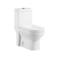 wc p trap toilet